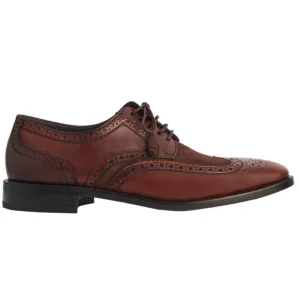 Derby Brogue Bicolor Wellington cores Mogno com Marrom Café