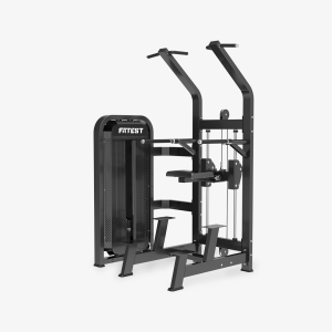 Dip / Pull up HS